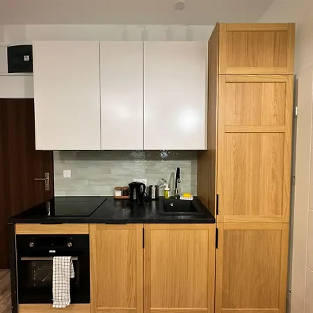 Apartament Coal & Copper Lofts *
